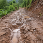 Poor Roads Force Pregnant Woman to Deliver on Road in Nirmal Tribal Village